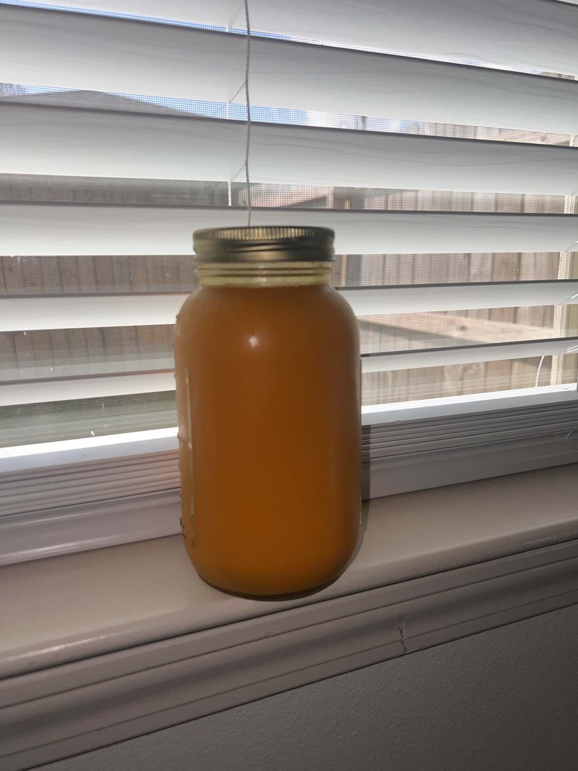 Gut Health Elixir